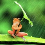 梅雨の中☔