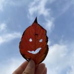 今週は、、、