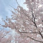 ぽかぽかお天気