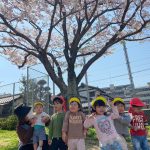 春ですね🌸