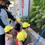 お散歩🍅🍆🥒