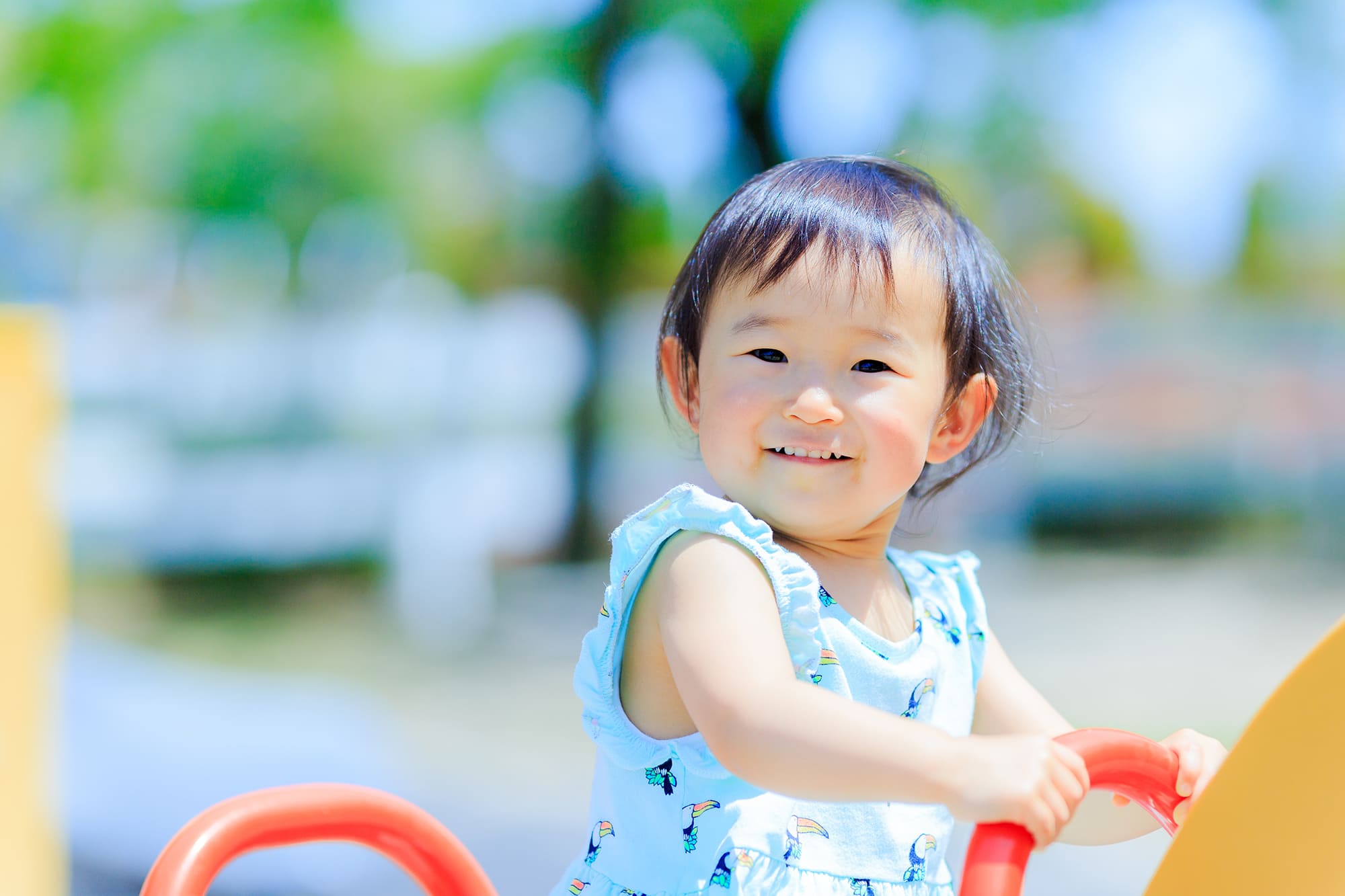 入園のご案内